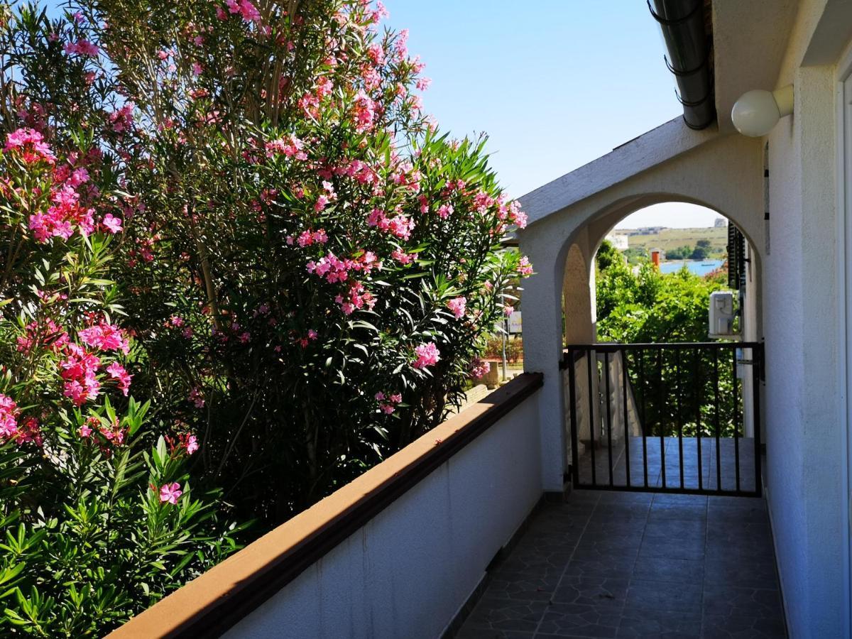 Apartments Mint Povljana - 50M From Sandy Beach Eksteriør billede